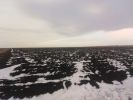 Земельный участок сельхозназначения 74 Га. (3 фотографии)