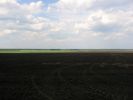 Продам земельный участок 5000 Га. фотография
