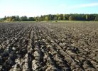 Продам земельный участок 1000 Га фотография